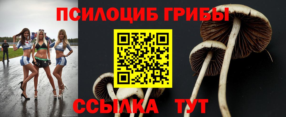 Галлюциногенные грибы мицелий  Вход с VPN  Добрянка 