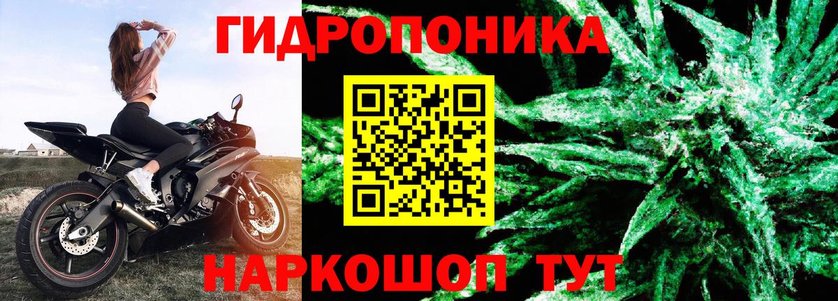 Бошки Шишки сатива  Вход с VPN  Добрянка  Шишки марихуана семена  Бошки марихуана SATIVA & INDICA 
